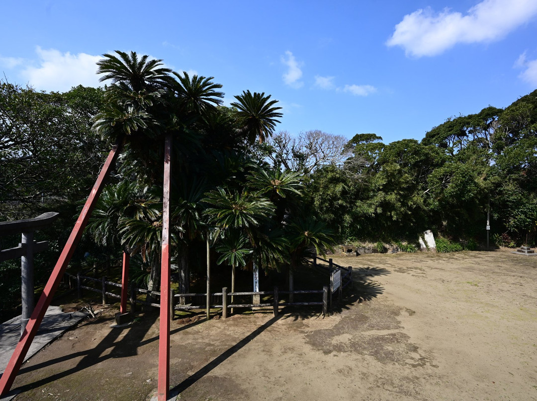Sakai Shrine-中种子町必去景点