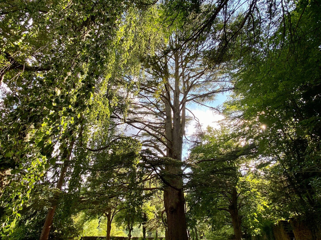 Domaine de Carrière主图