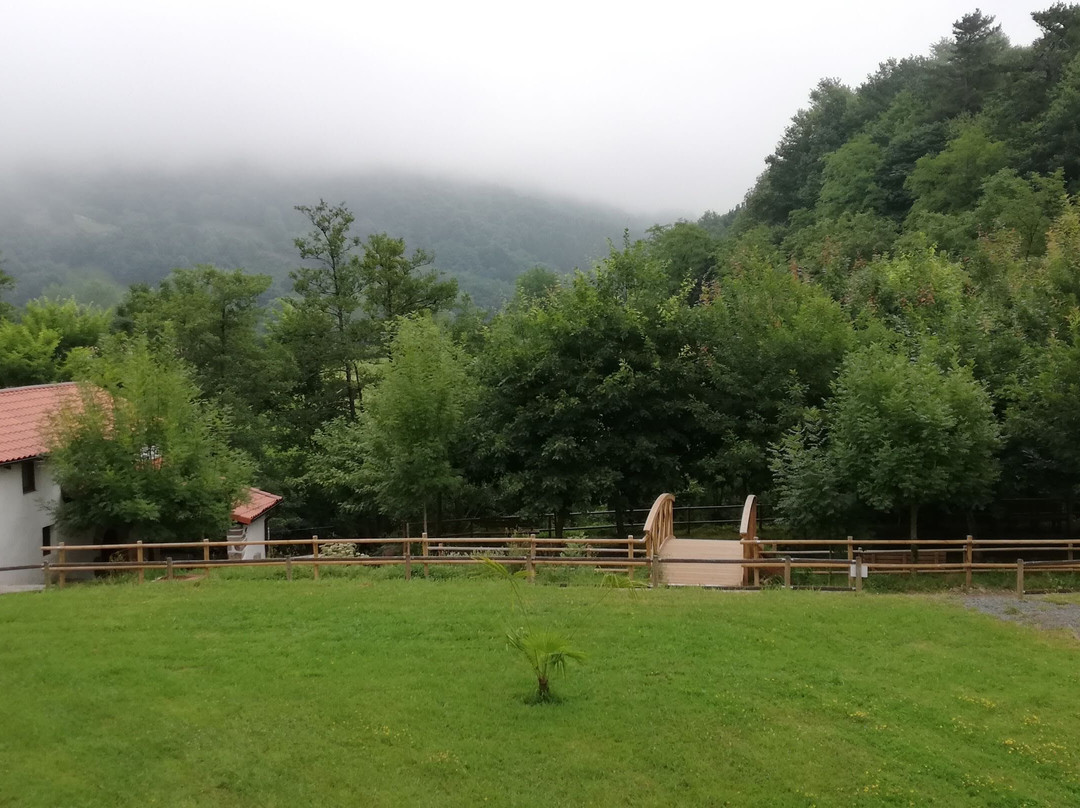 Balneario Elgorriaga主图