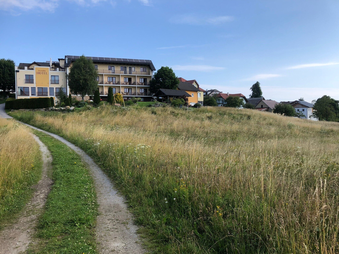 Liebenau旅游攻略图片