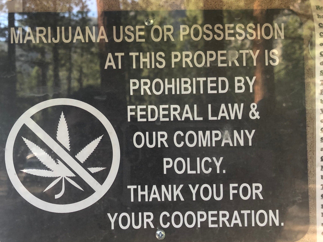 Annett's Mono Village主图