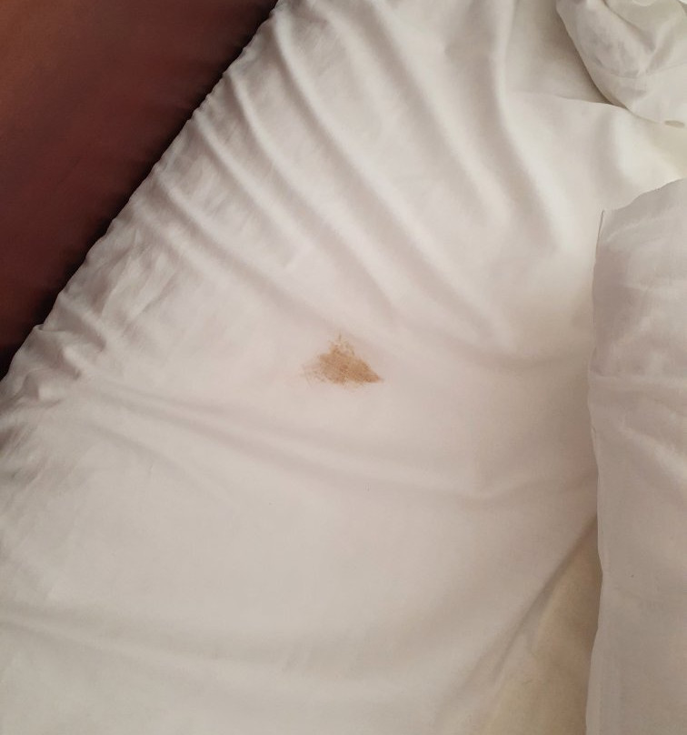 Maistrali Hotel主图