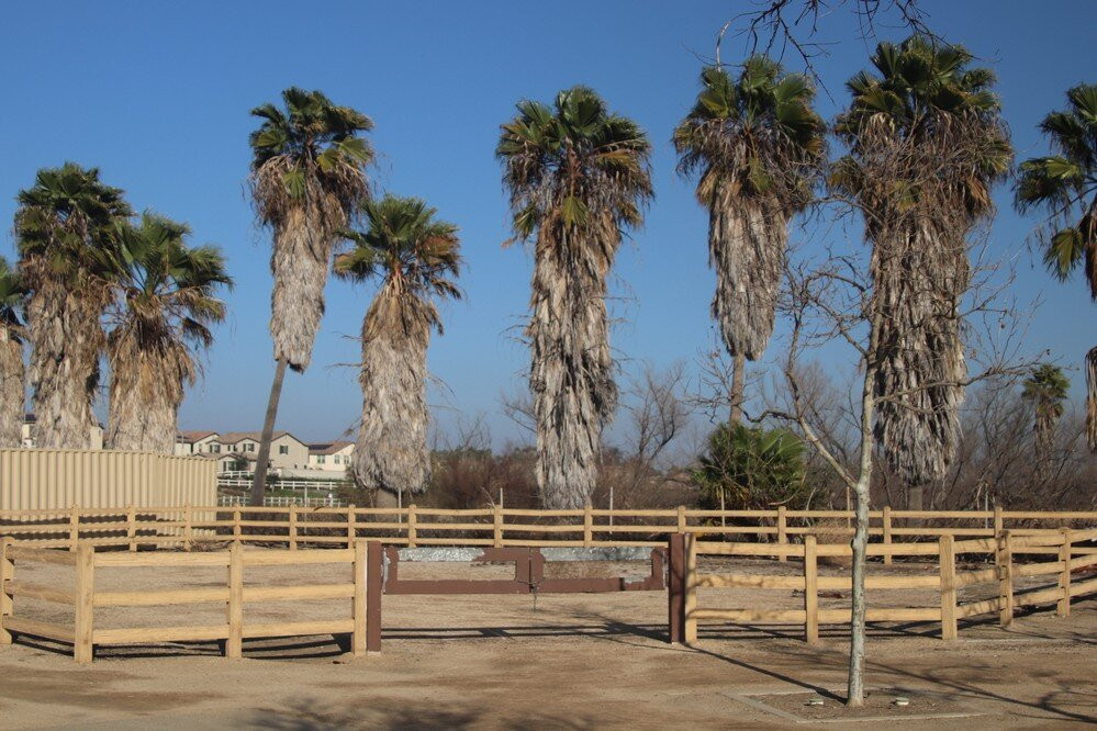 RiverWalk Park景点图片