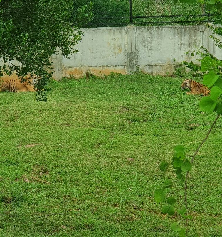 Ridiyagama Safari Park景点图片
