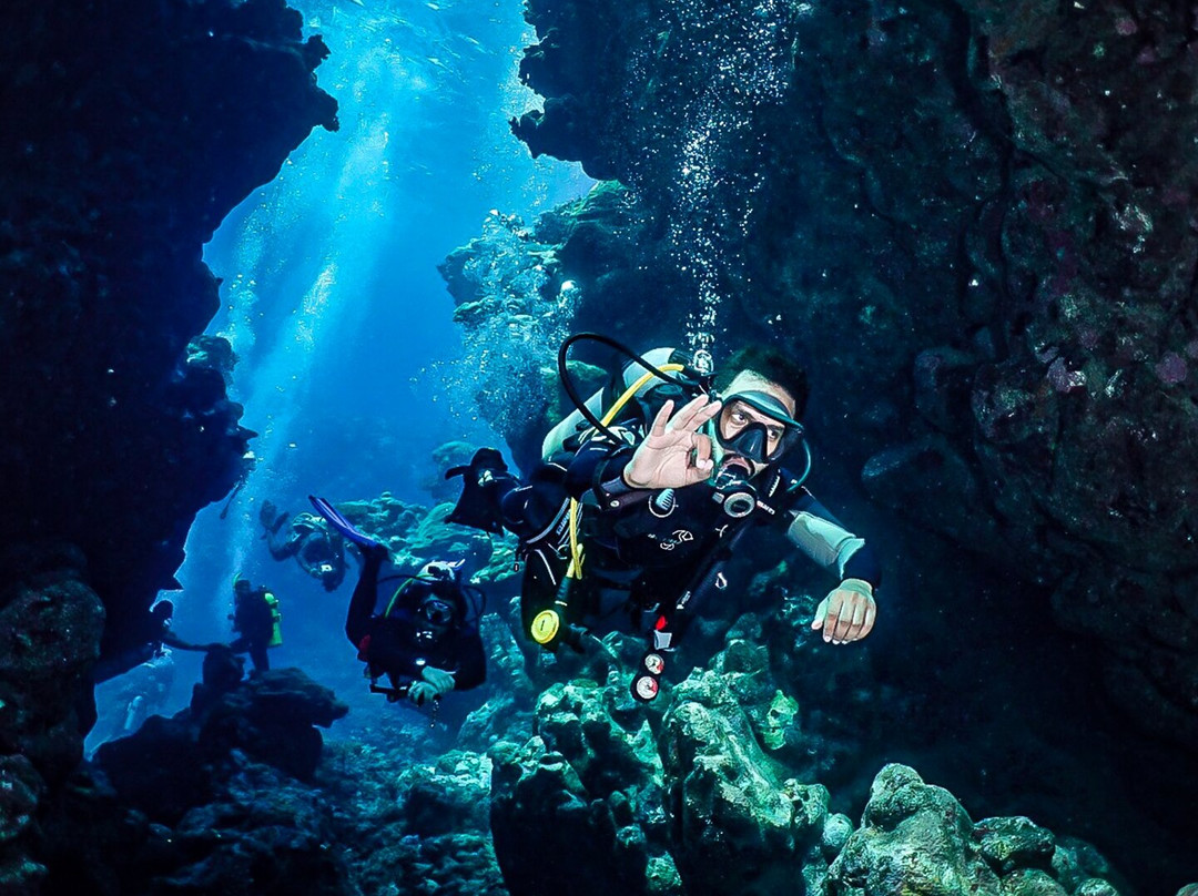 Bhadur Resort Jeddah主图