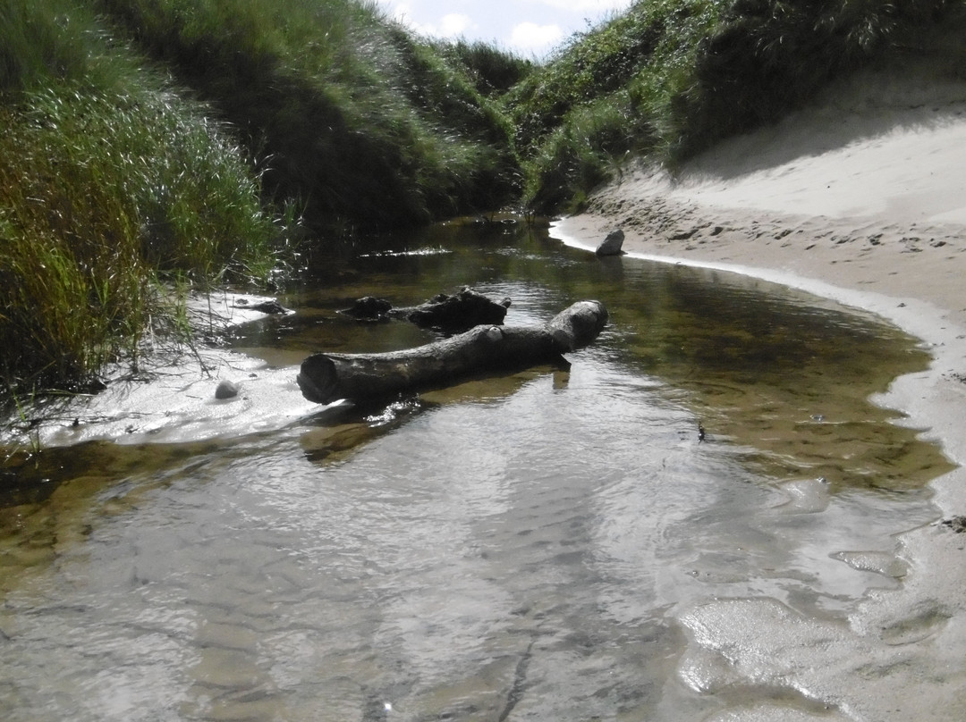 Tallizmand Guest House主图