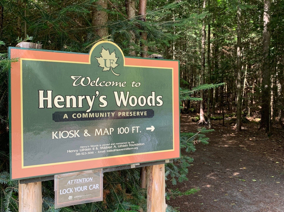 Henry's Woods景点图片