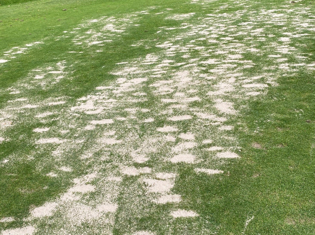 Ekerum Golfklubb-Borgholm必去景点