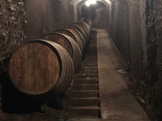 Vino Loire Wine Tours-图尔必去景点