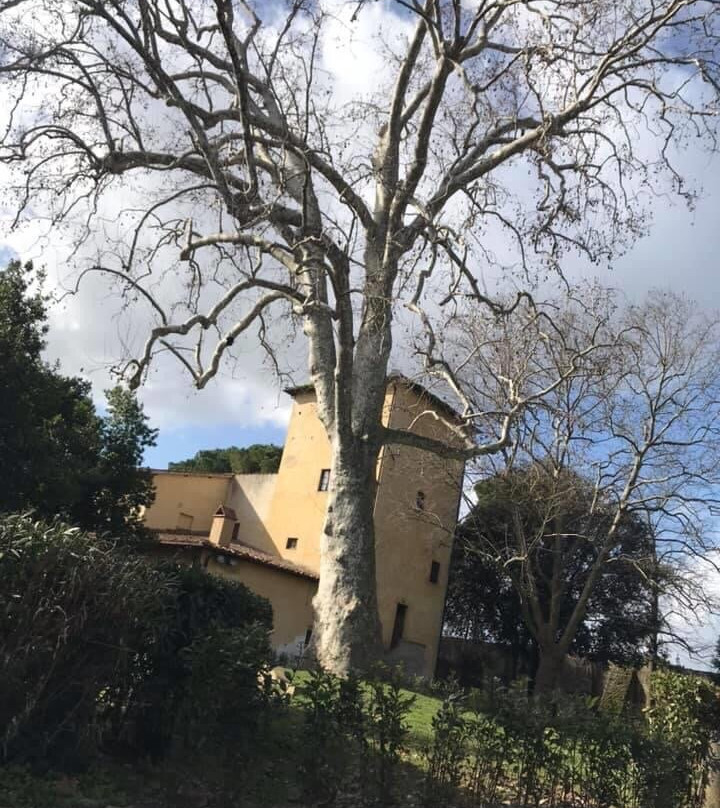 Parco di Villa Montalvo e Ragnaia-比森齐奥营必去景点
