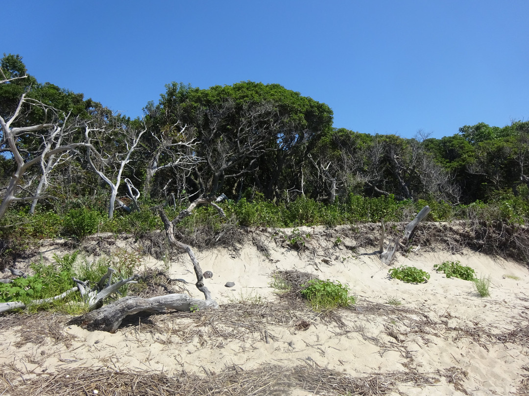 Higbee Beach景点图片