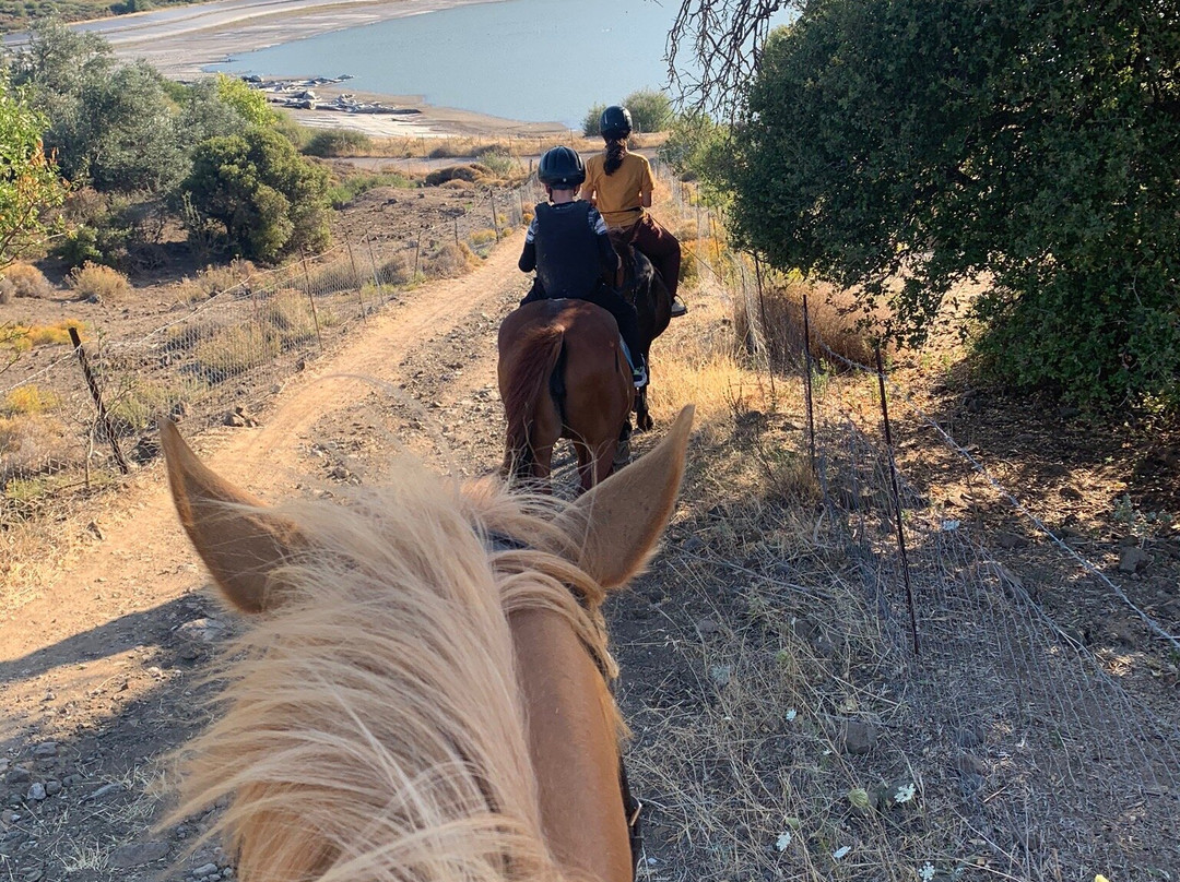 Ippos Horse Riding and Excursions景点图片