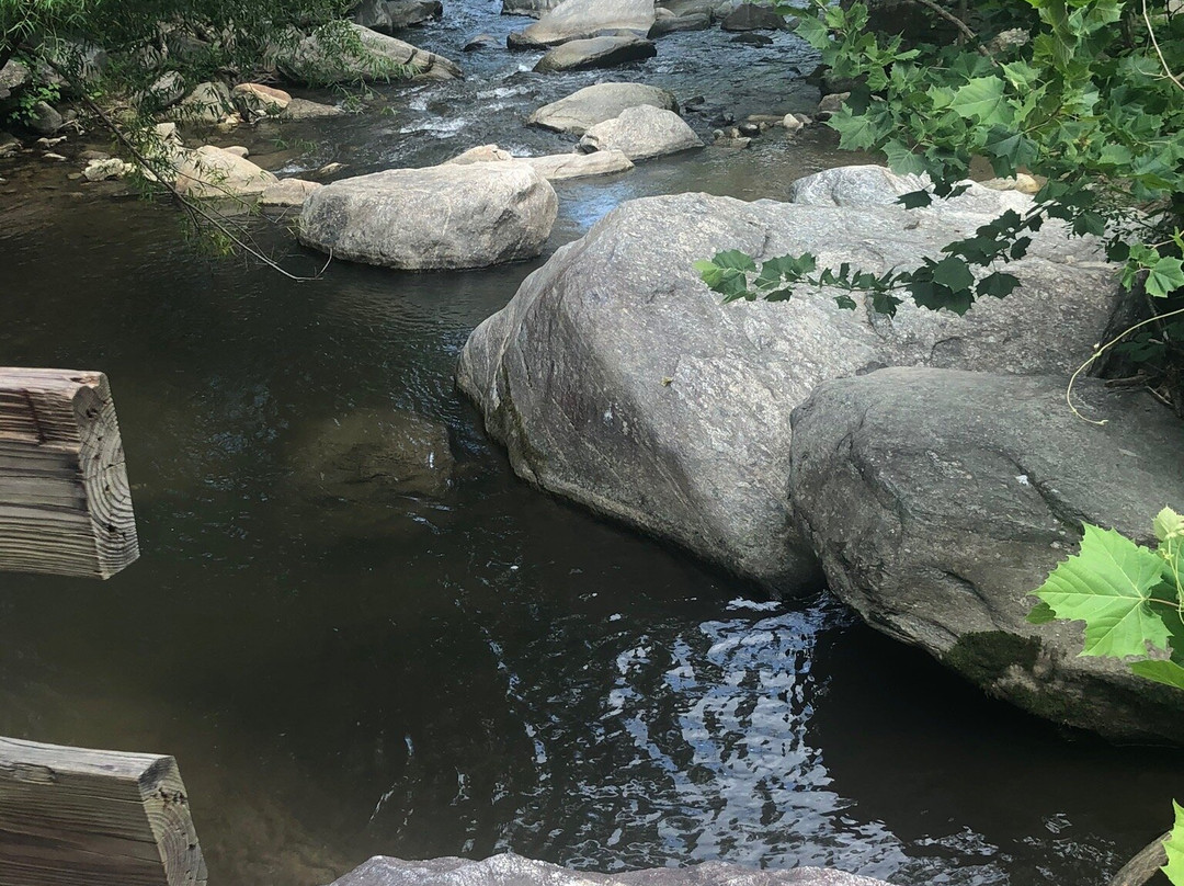 Rocky Broad Riverwalk景点图片