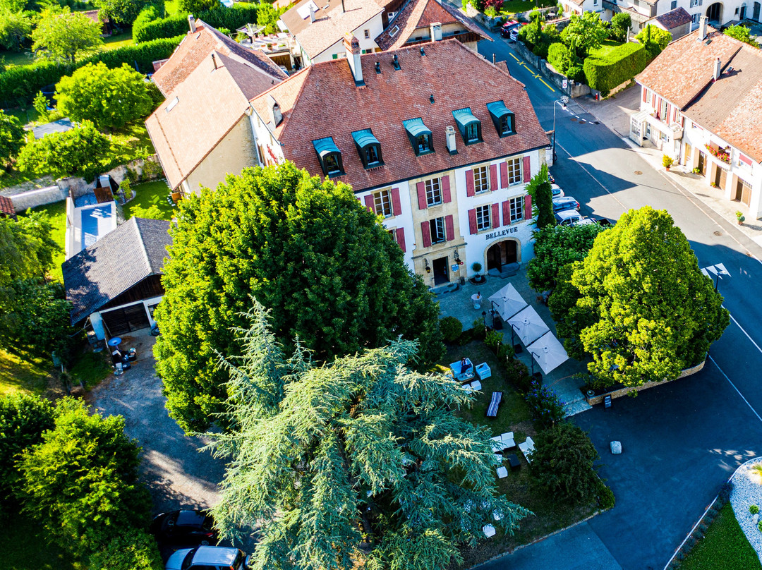 Hôtel Bellevue - Restaurant L'ingrédient主图