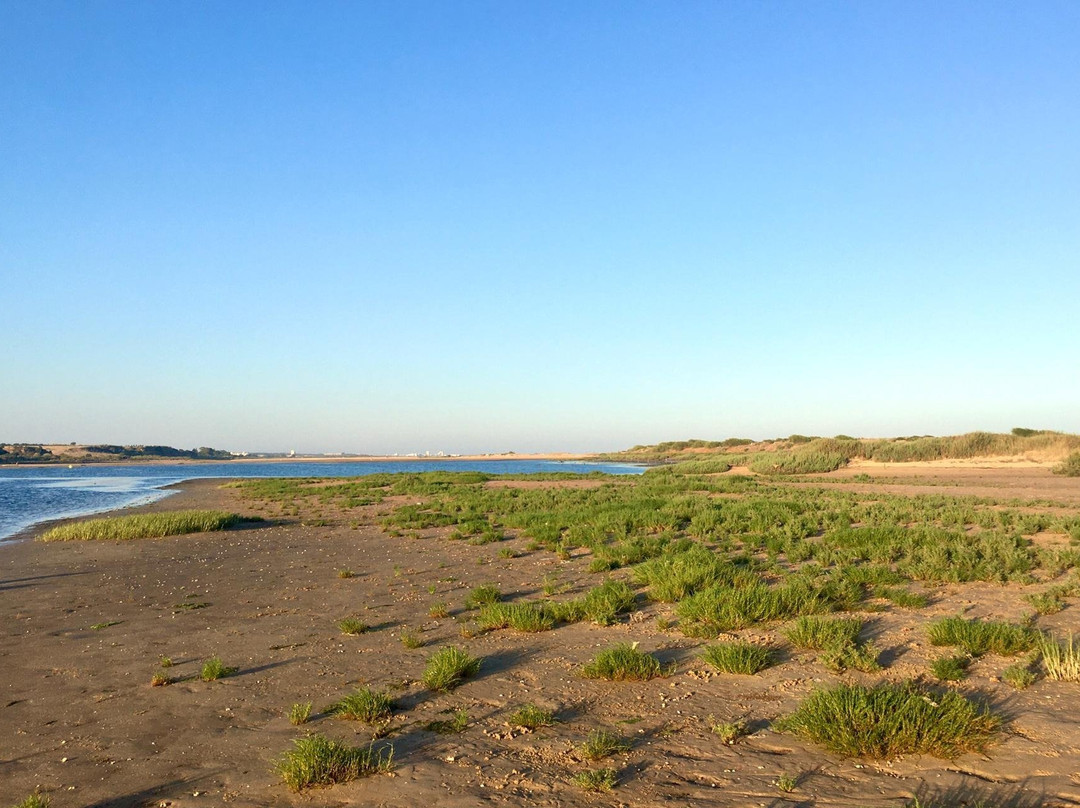 Sotaventours-塔维拉必去景点