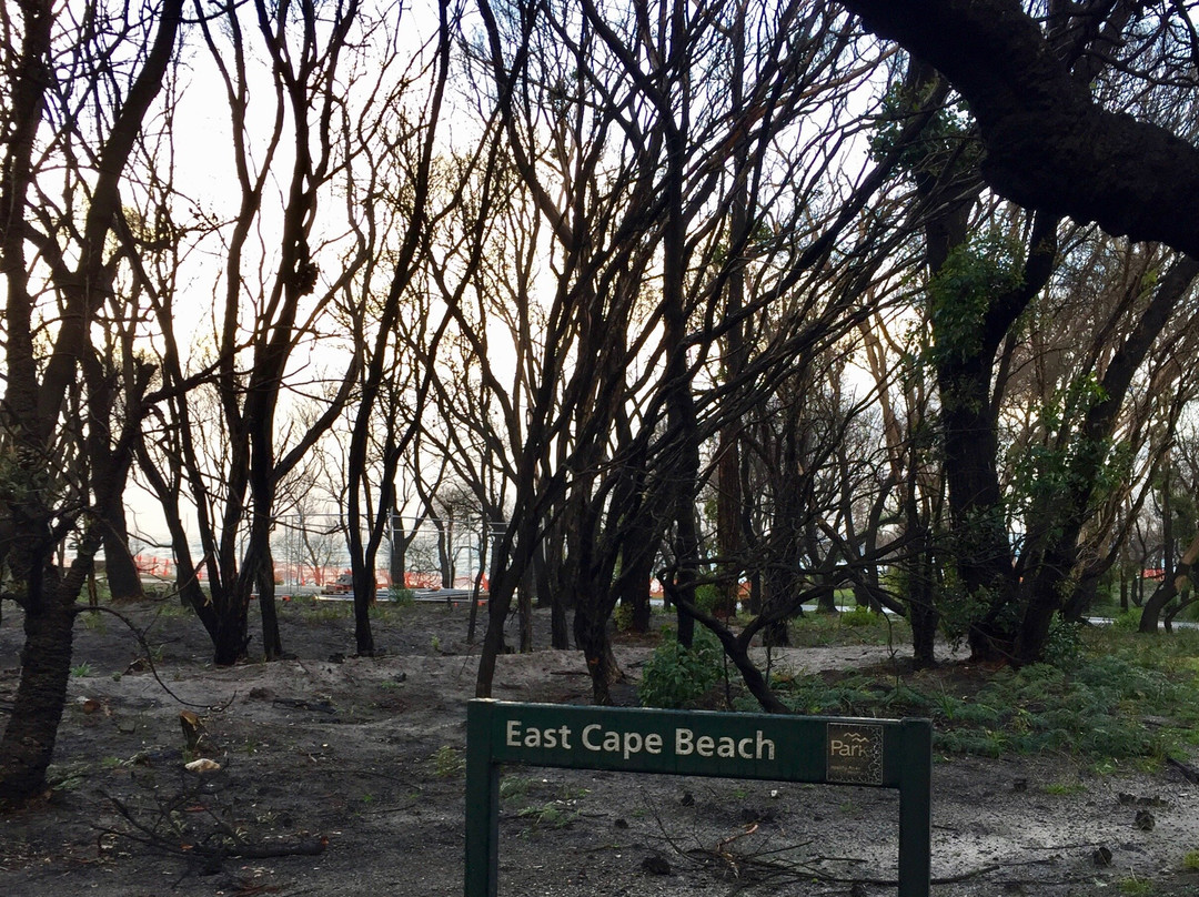 East Cape Beach景点图片