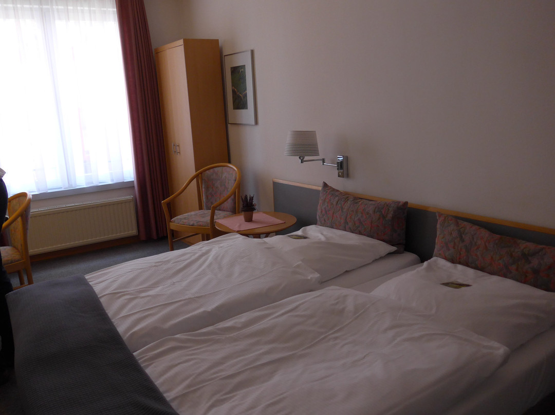 Hotel Altstadt主图