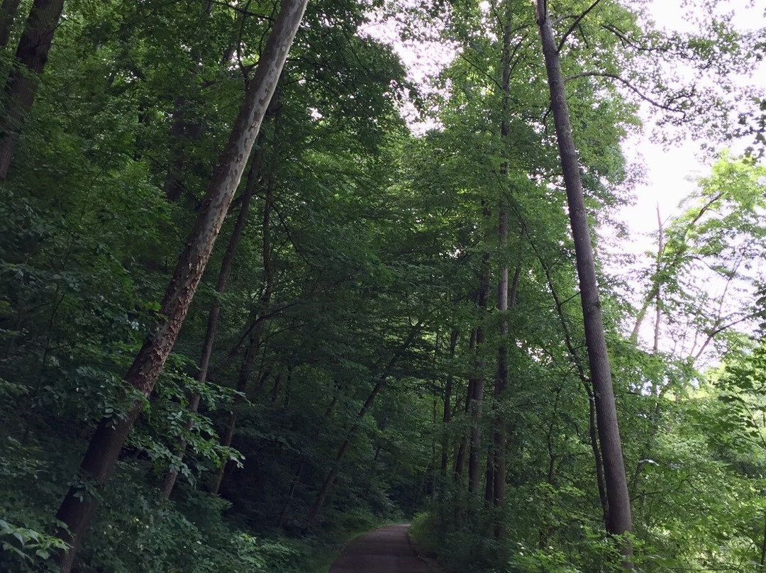 Blackhand Gorge State Nature Preserve景点图片