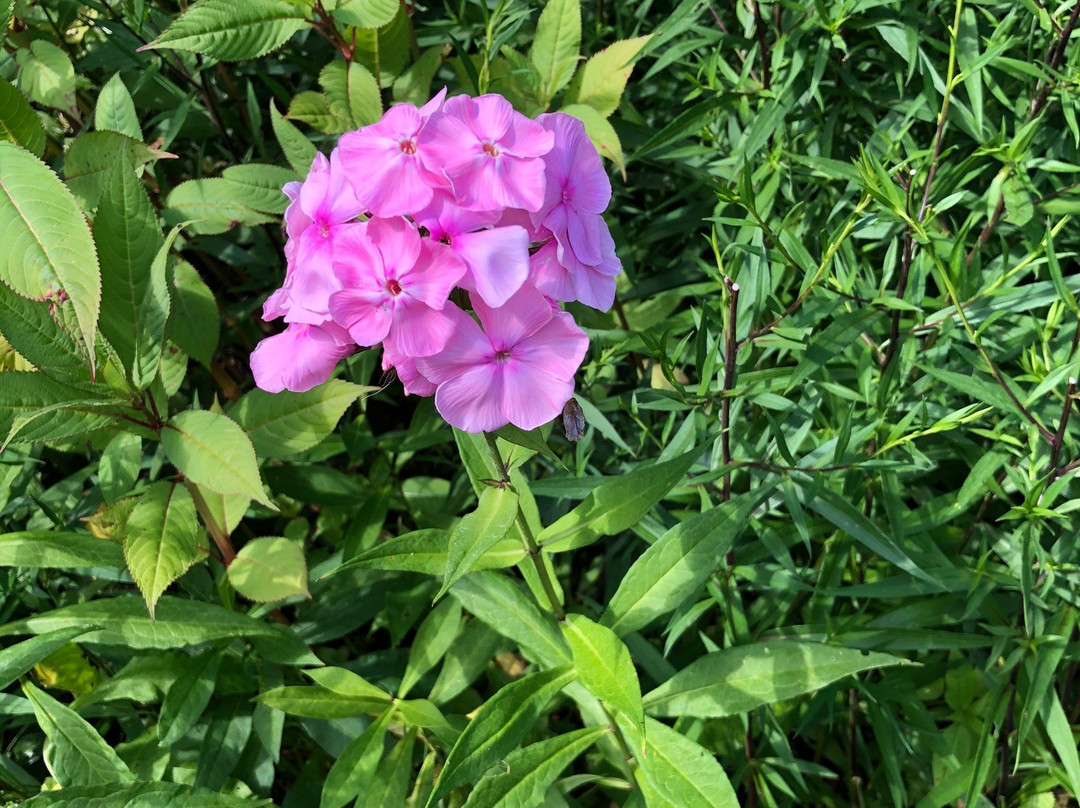 Arboretum des Grandes Bruyeres-Ingrannes必去景点