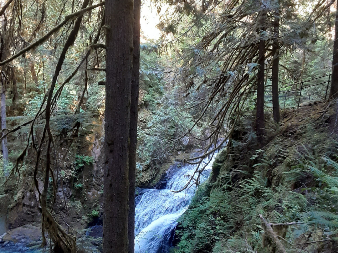 Wolf Creek Falls Trail景点图片