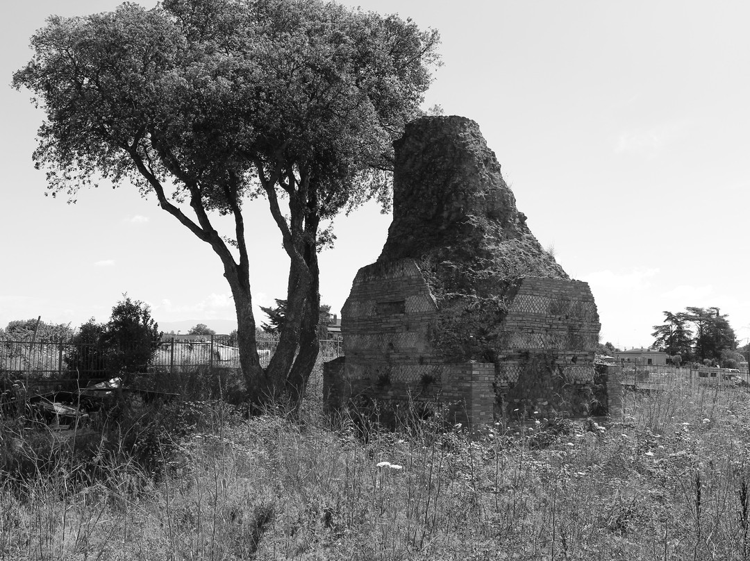 Torre Del Monumento景点图片