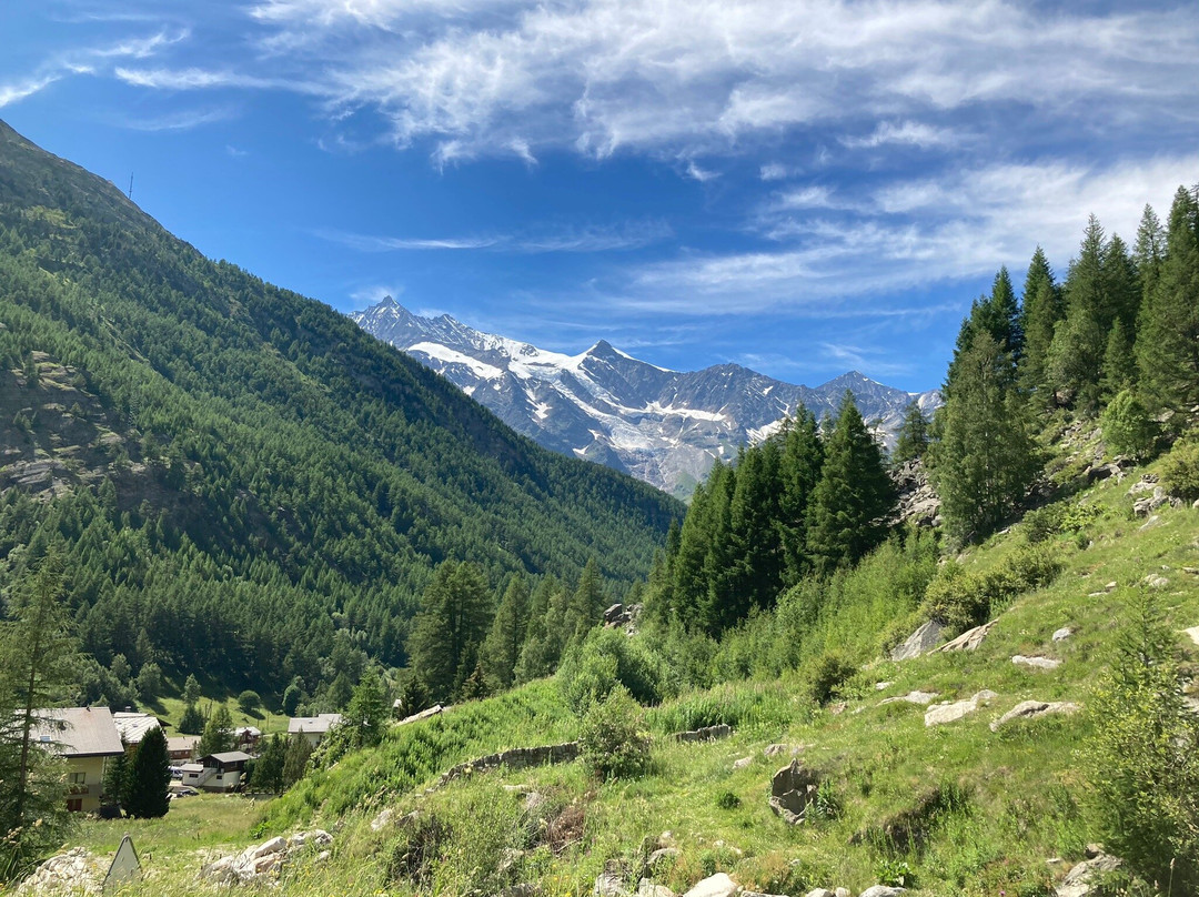 Hotel Alpenhof主图