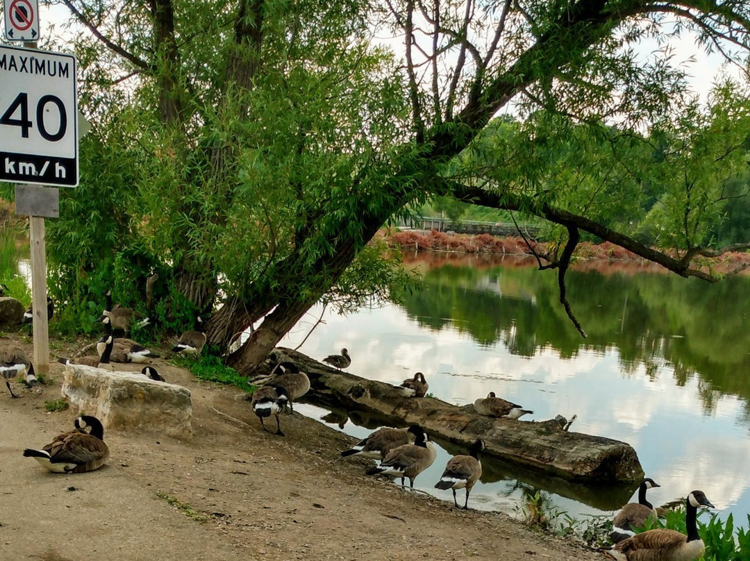 Cherry Hill Gate-伯灵顿必去景点