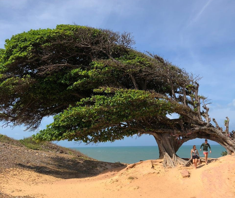 Pousada Casa Feliz主图