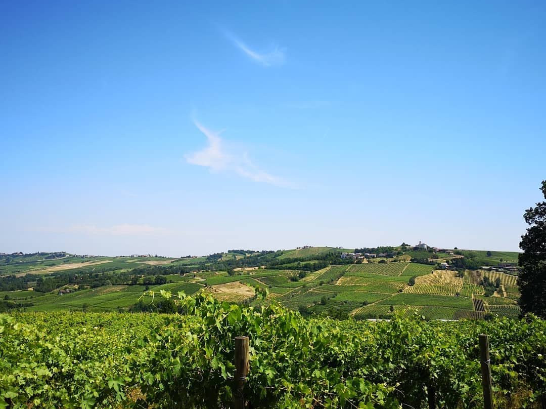 Azienda Agricola Calatroni-Santa Maria della Versa必去景点