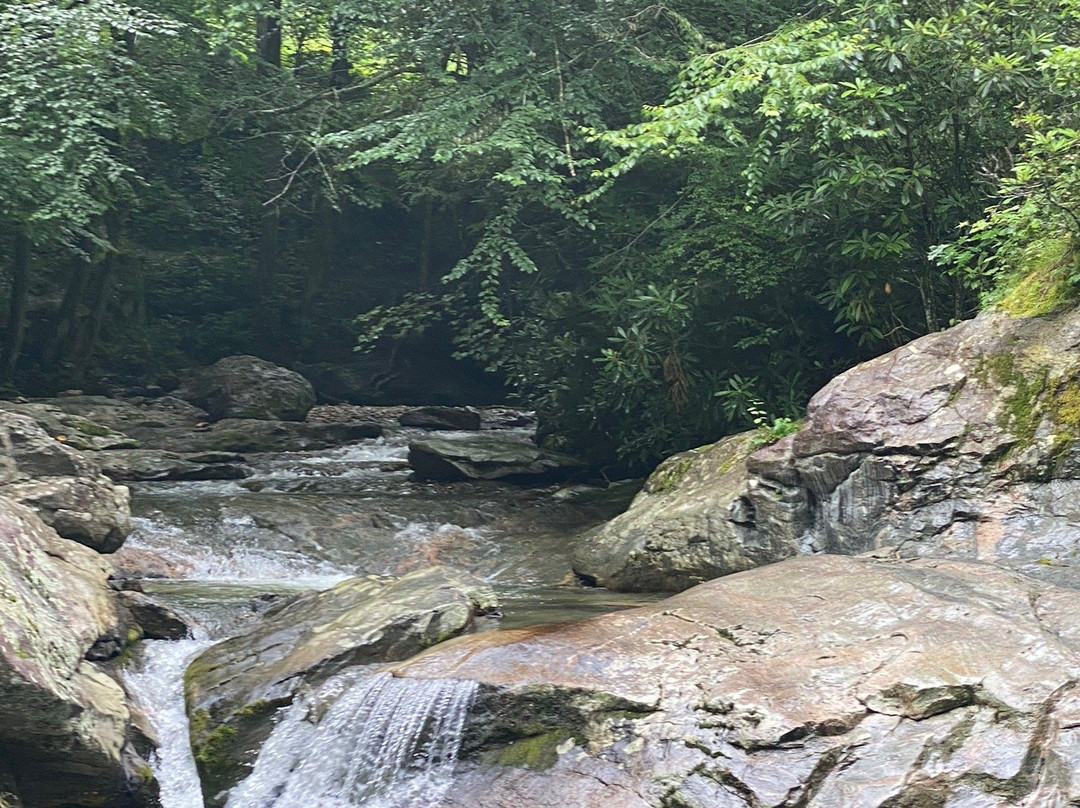 Laurel Creek Falls-布恩必去景点