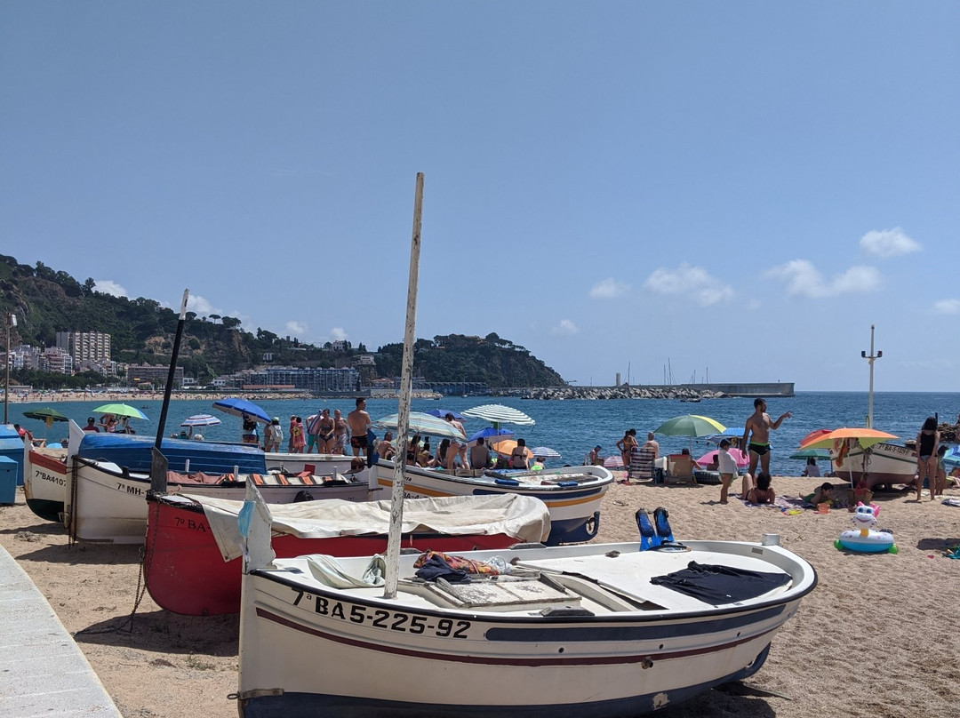 Platja de Blanes景点图片