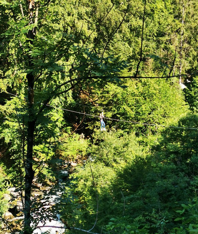 Léman Forest景点图片