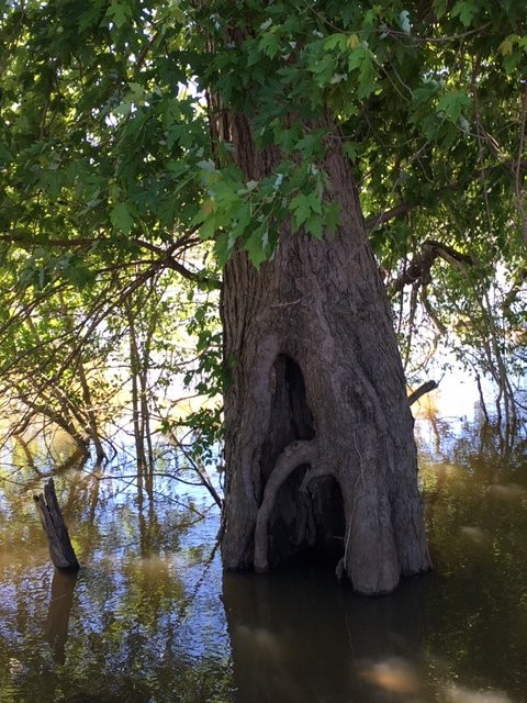 Two Rivers National Wildlife Refuge-Brussels必去景点