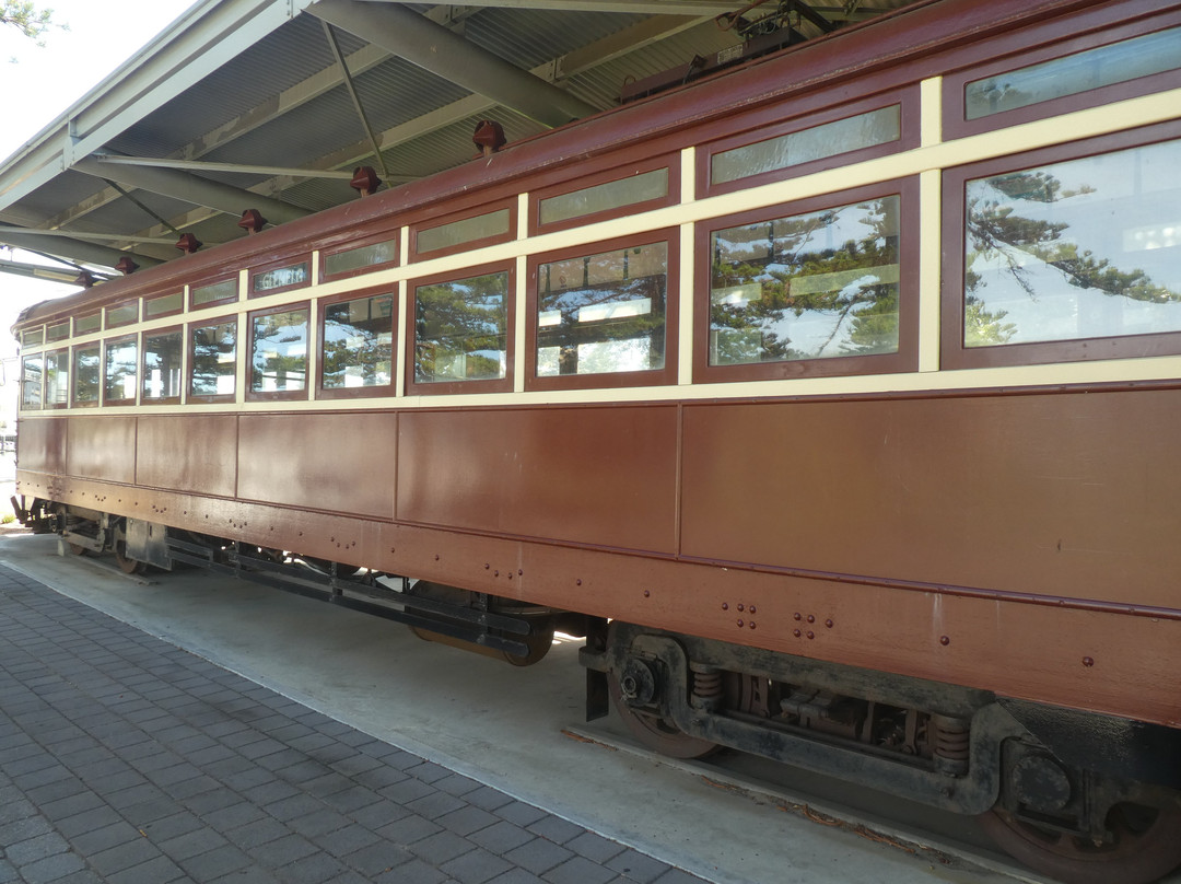 Wigley Reserve - Glenelg-格莱内尔格必去景点