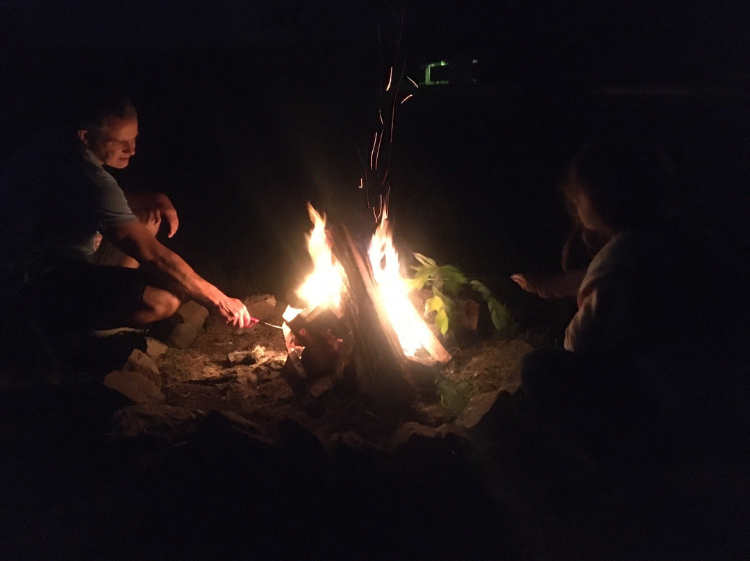 Parks Bluff Campground