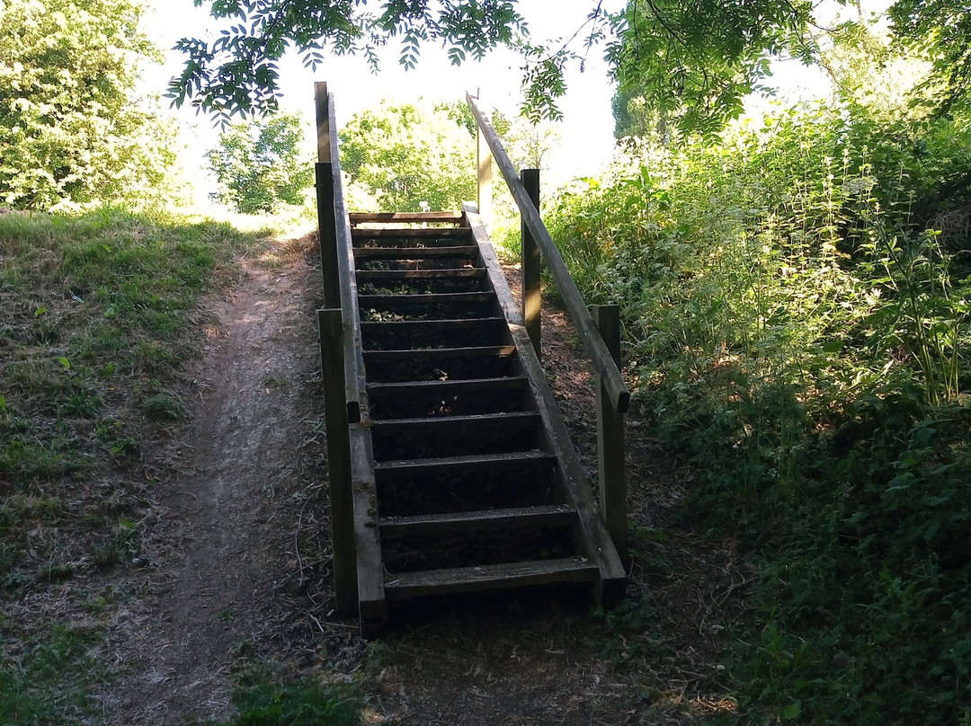 Fox Covert Local Nature Reserve-Long Eaton必去景点