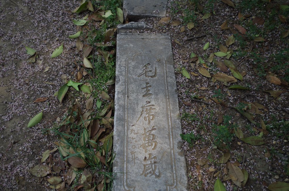 人民公园-南阳市必去景点