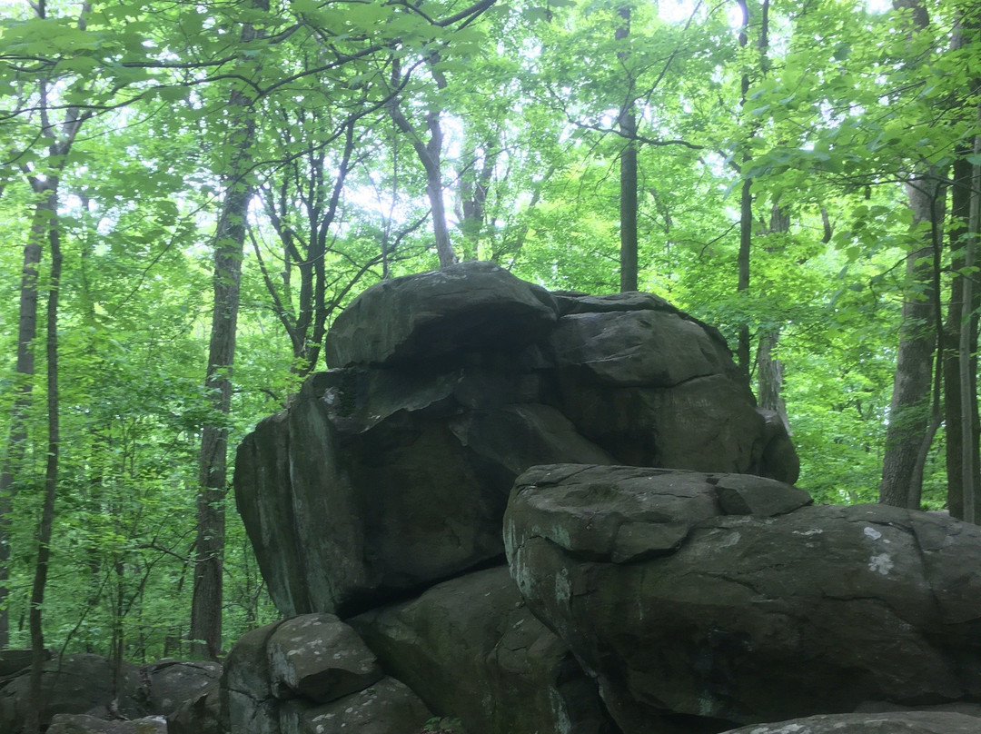 Sourland Mountain Preserve景点图片