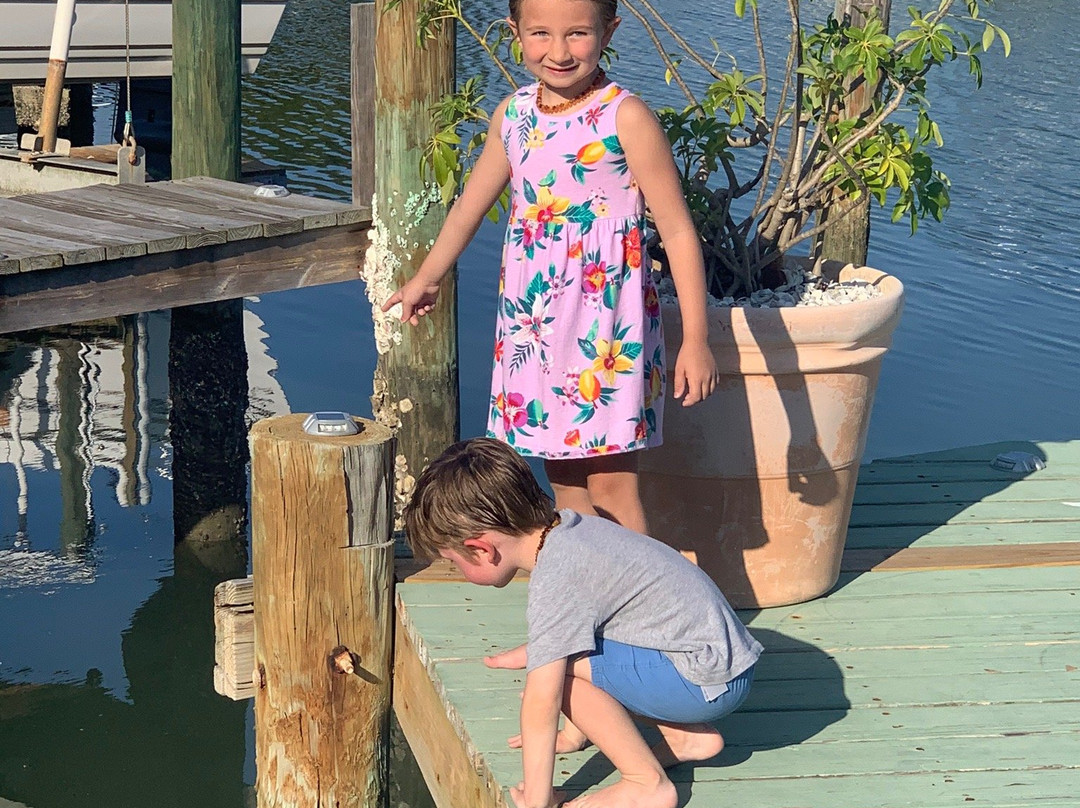 Sand Vista Vacation Rentals主图