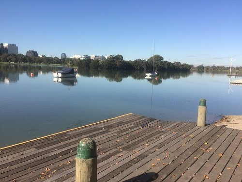 Albert Park Lake景点图片