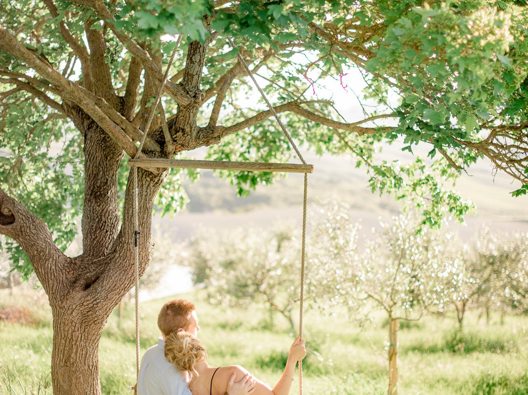 Podere Finerri - The Lazy Olive Villa主图