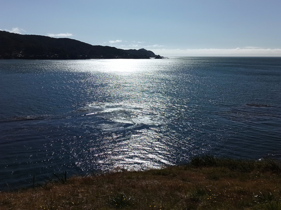 Sistema de Fuertes de Valdivia-瓦尔迪维亚必去景点