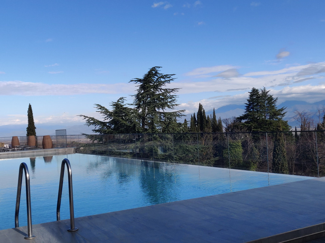 Tsinandali Estate, A Radisson Collection Hotel主图