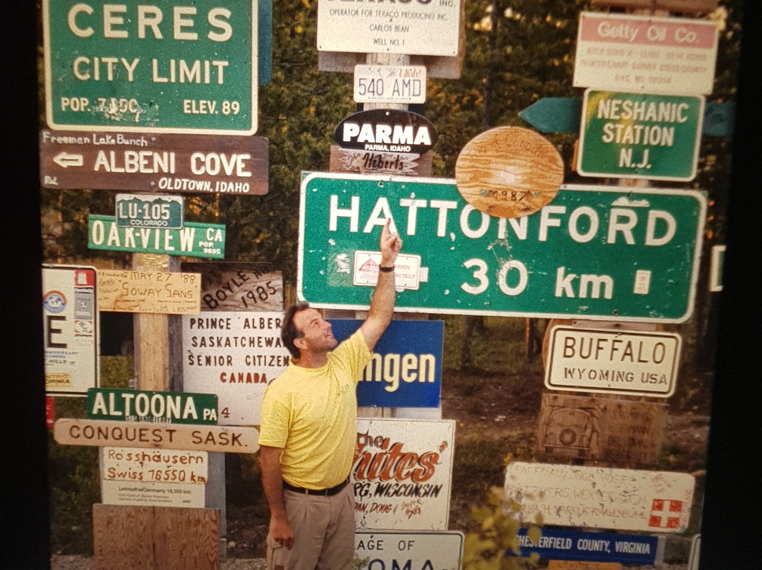 Sign Post Forest景点图片