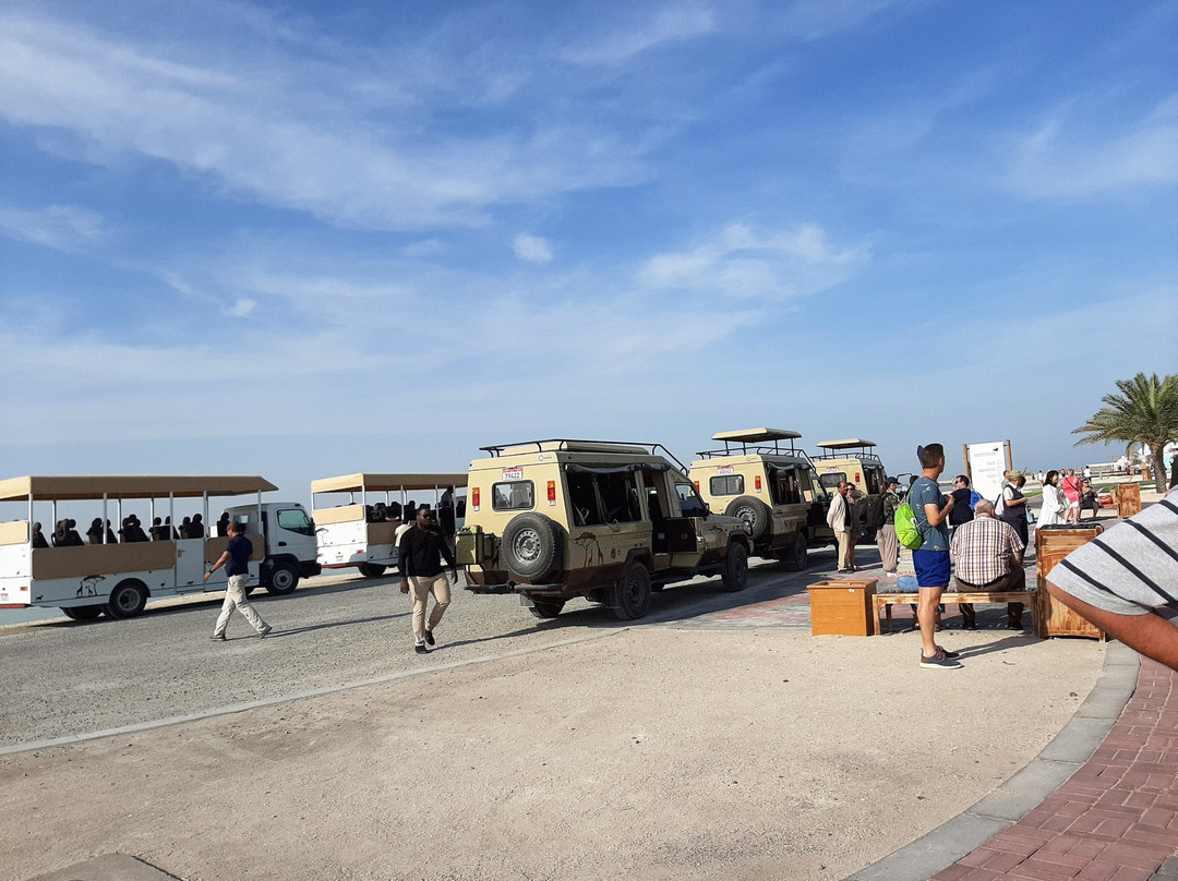 Arabian Wildlife Park-萨巴尼亚岛必去景点