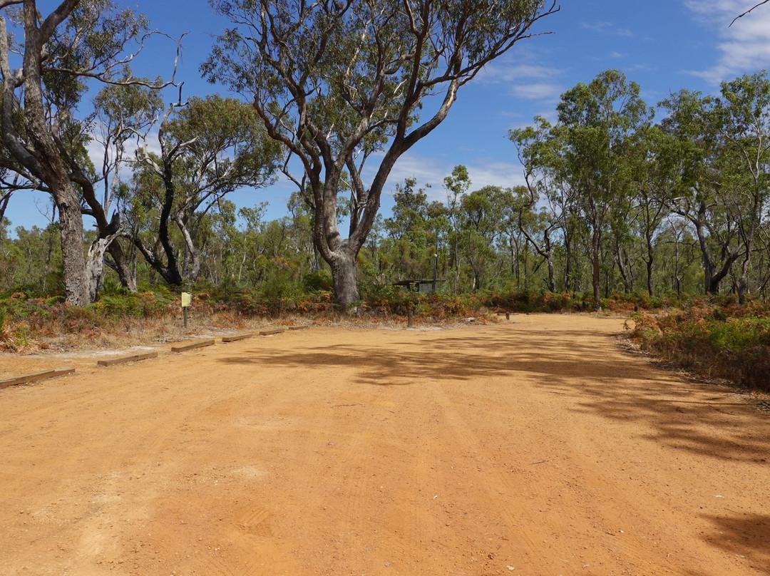 Lake Muir National Park-彭伯顿必去景点