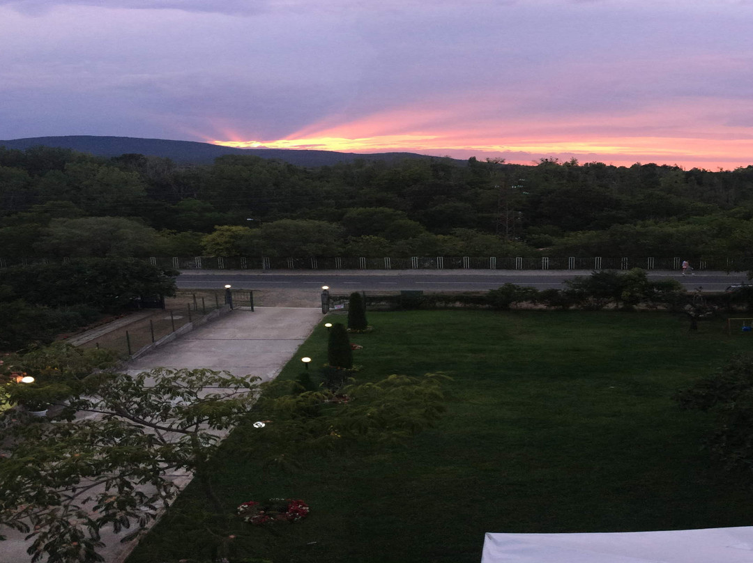 Guesthouse Kamelia主图