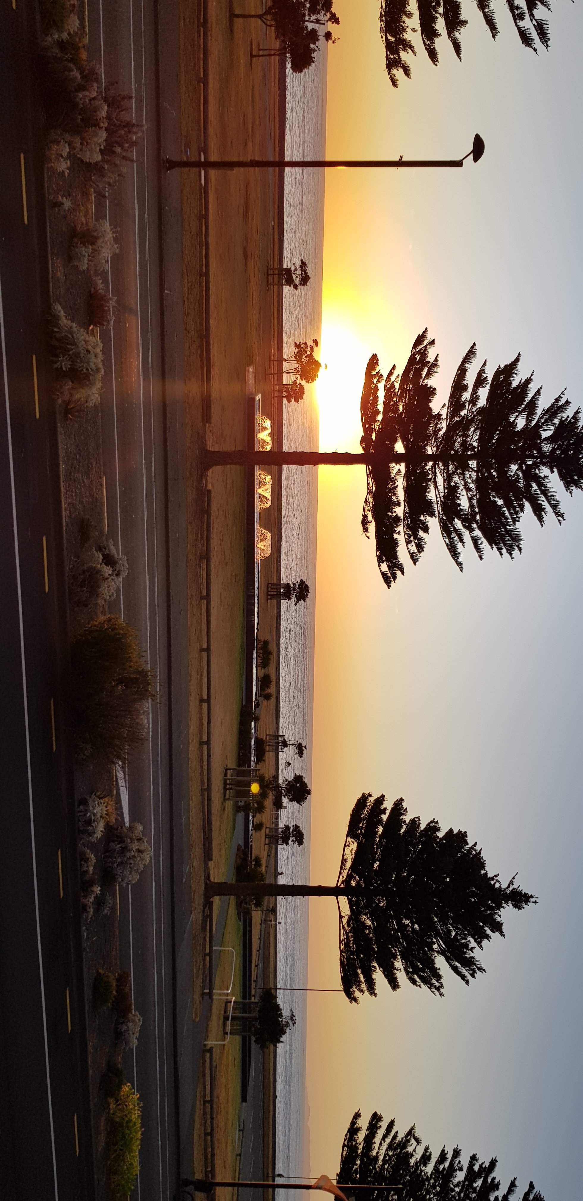 Pebble Beach Motor Inn-酒店景观