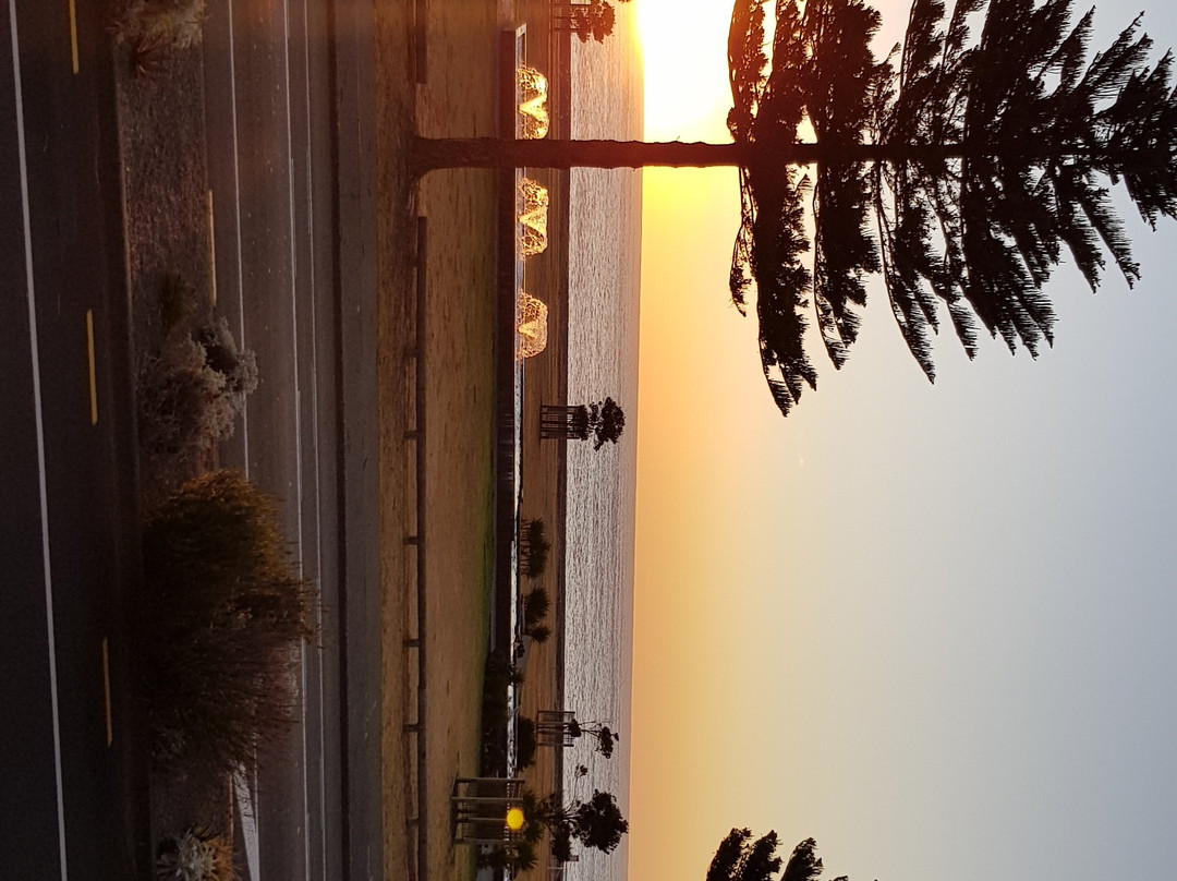 Pebble Beach Motor Inn主图