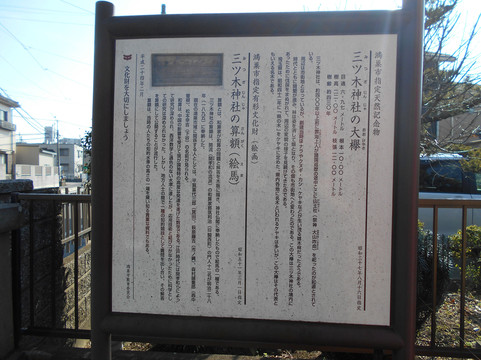 Japanese Zelkova Tree of Mitsugi Shrine-鸿巢市必去景点